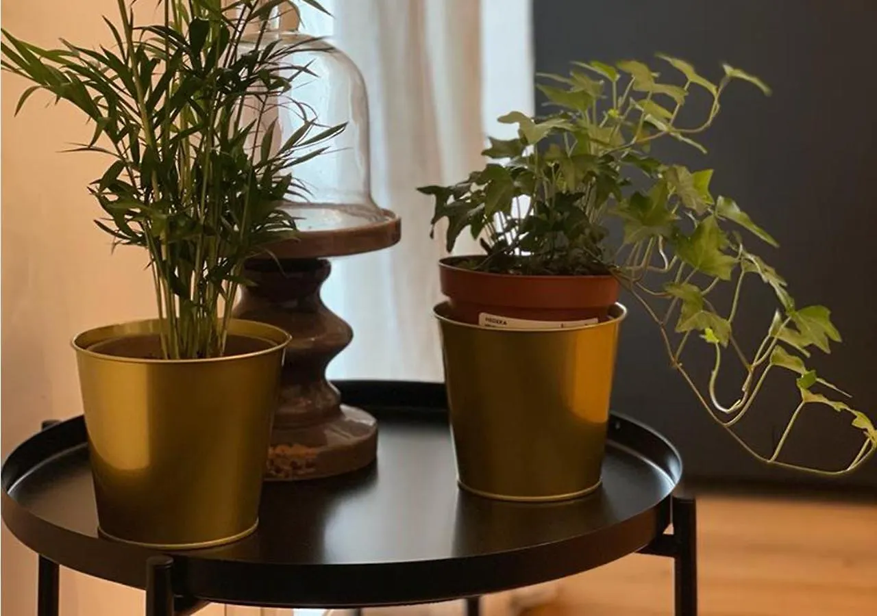 Apartment Tecnopolo Fiera Suite Bologna Italien